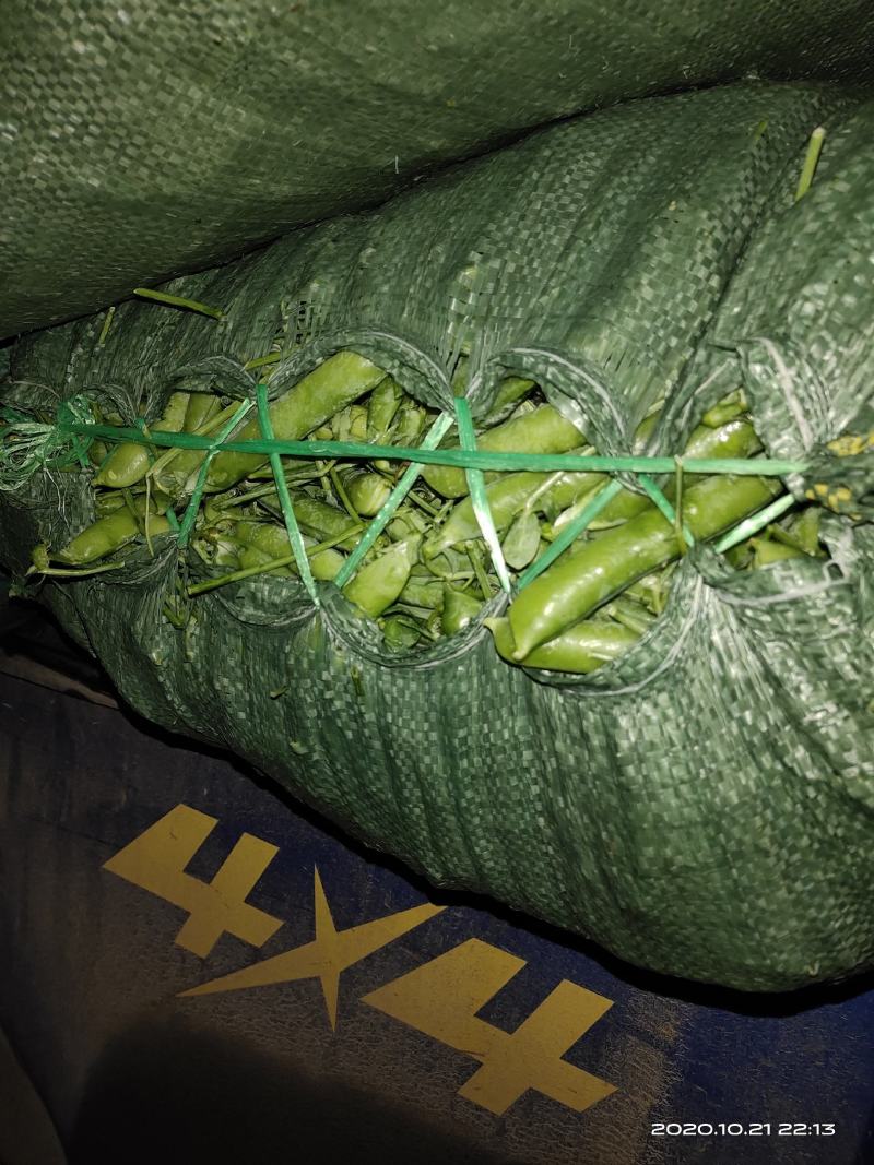 长寿仁豌豆批发零售质量保证场地直发大量货