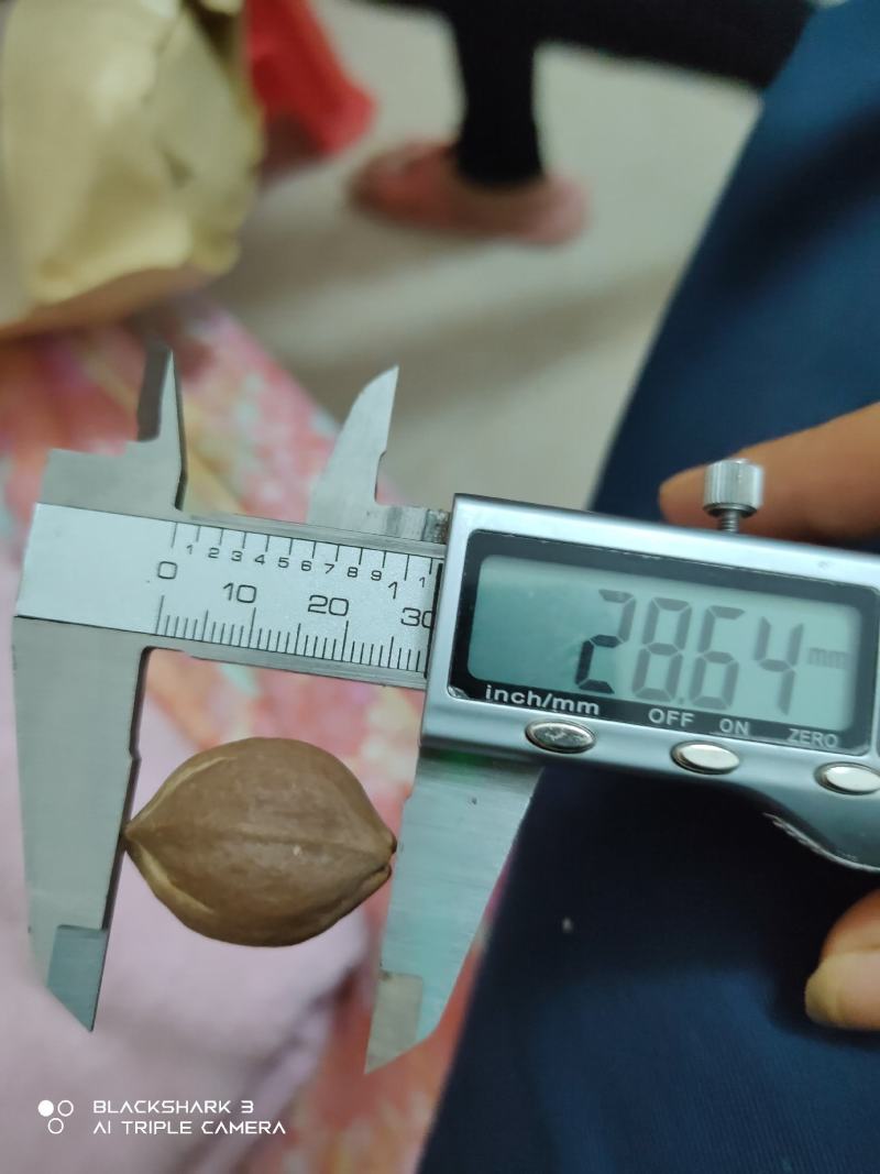 铁核原料生产基地，1.9+/1.8/1.7/1.6