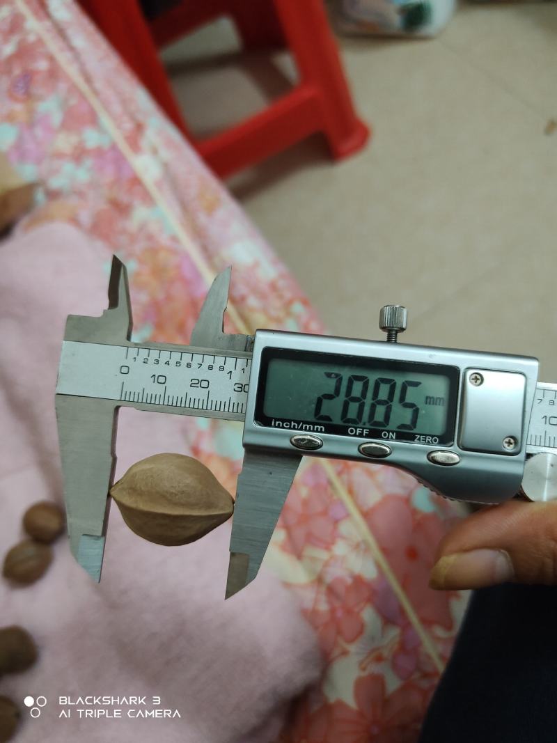 铁核原料生产基地，1.9+/1.8/1.7/1.6