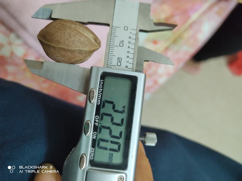 铁核原料生产基地，1.9+/1.8/1.7/1.6