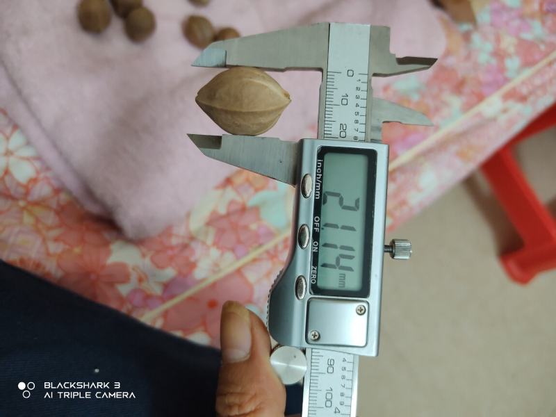 铁核原料生产基地，1.9+/1.8/1.7/1.6