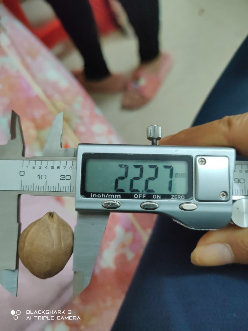 铁核原料生产基地，1.9+/1.8/1.7/1.6