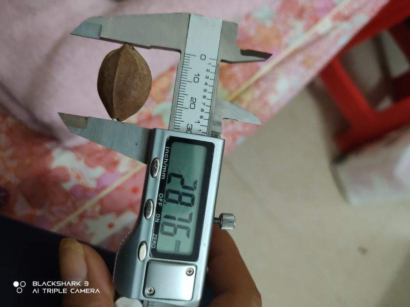 铁核原料生产基地，1.9+/1.8/1.7/1.6