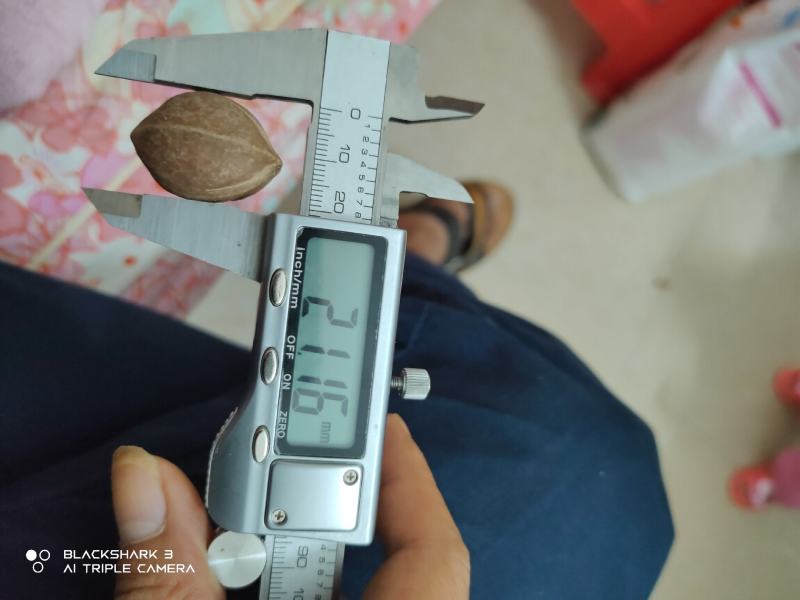 铁核原料生产基地，1.9+/1.8/1.7/1.6