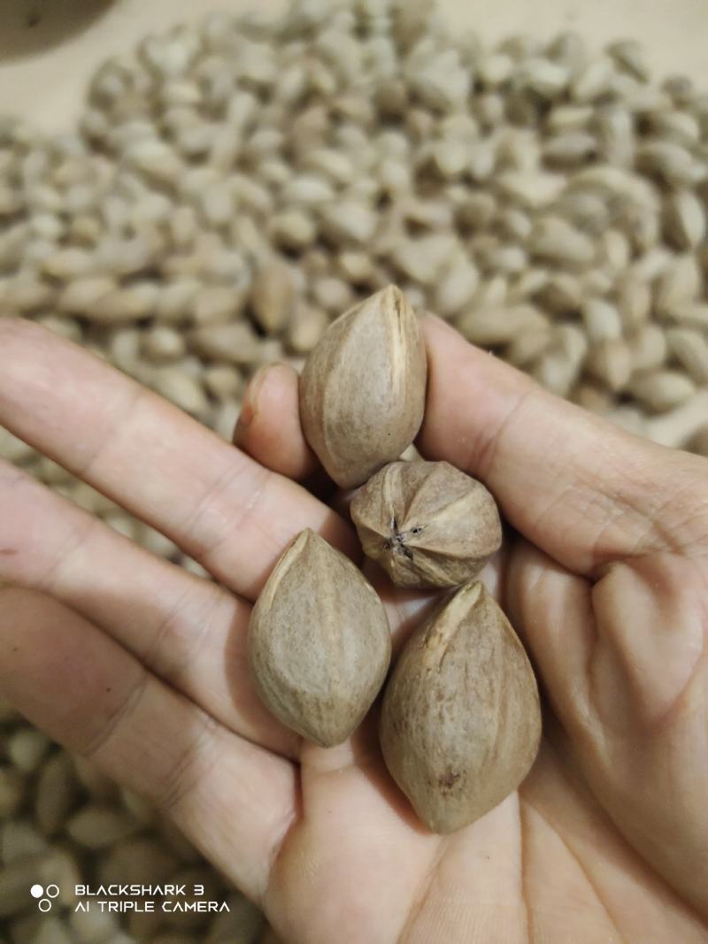铁核原料生产基地，1.9+/1.8/1.7/1.6