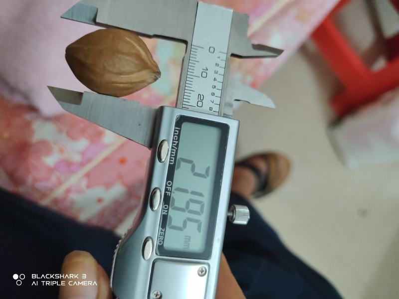 铁核原料生产基地，1.9+/1.8/1.7/1.6