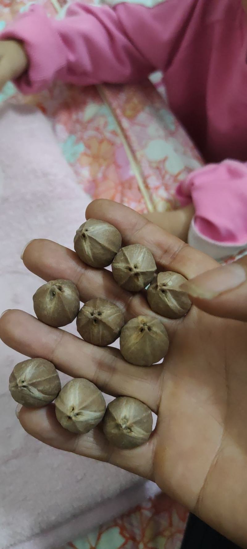 铁核原料生产基地，1.9+/1.8/1.7/1.6