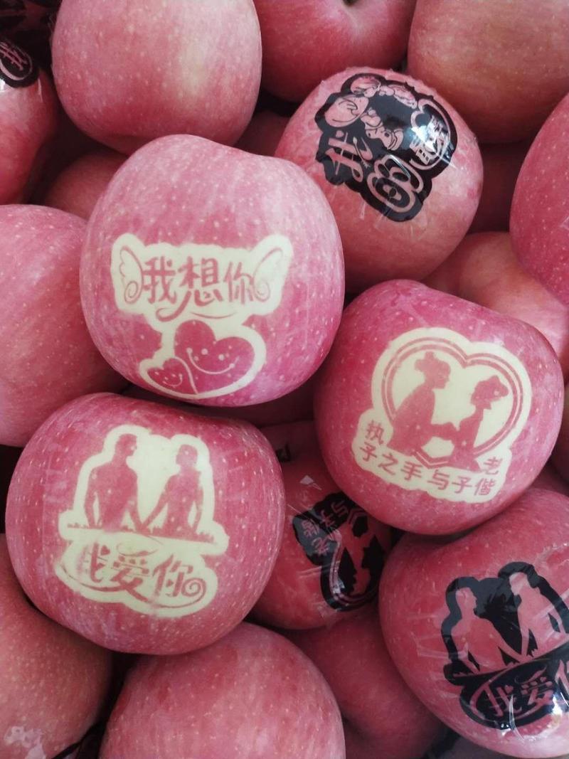 礼泉红富士苹果纸加膜红富士苹果大量出售