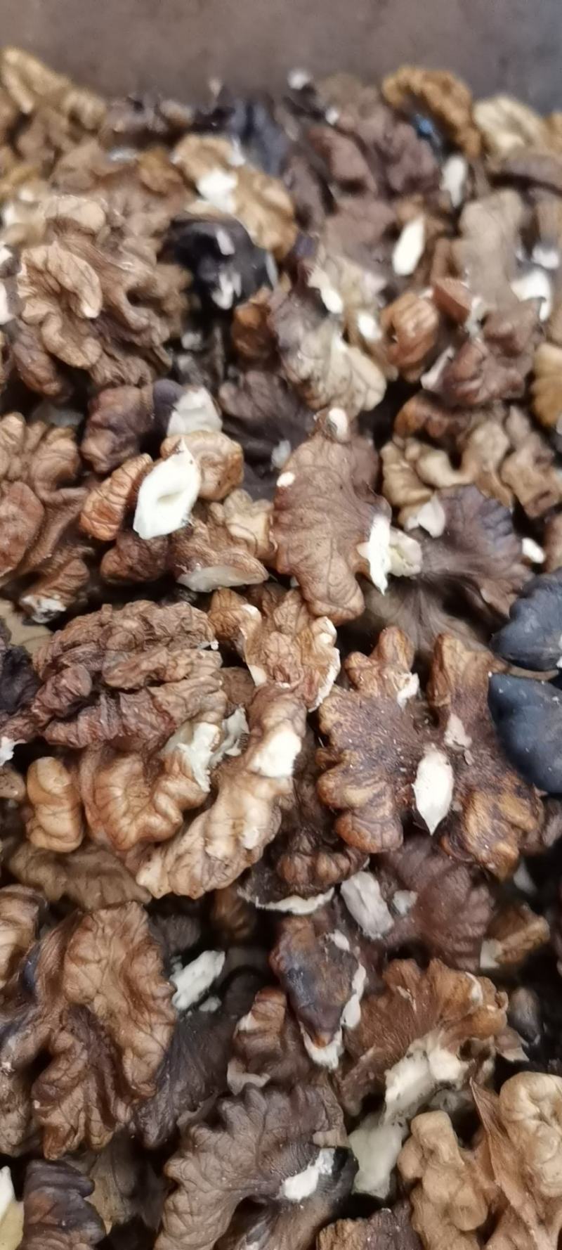 云南核浅色桃仁，榨油核桃仁，手工剥壳，人工挑选。