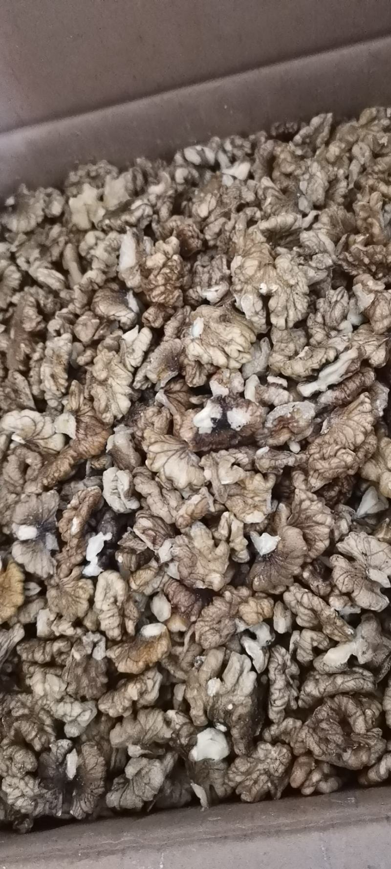 云南核浅色桃仁，榨油核桃仁，手工剥壳，人工挑选。