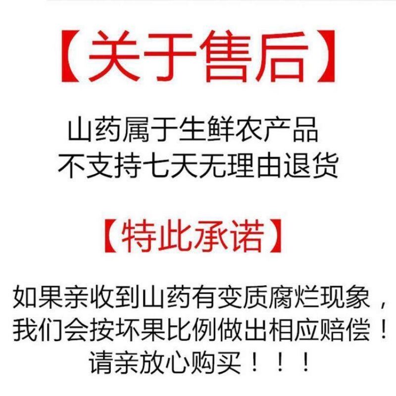 【包邮包赔】正宗铁棍山药特价新鲜正宗小白嘴山药怀山药！