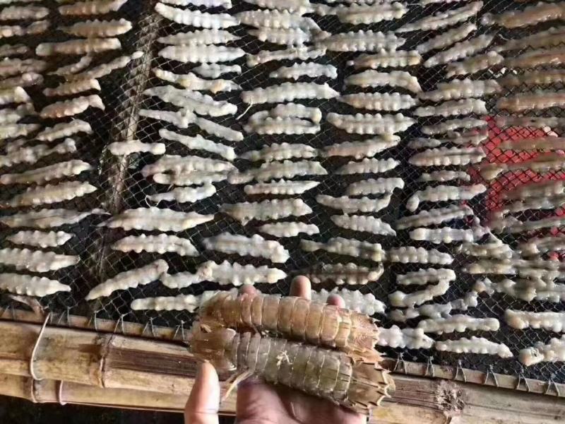 新品虾姑肉干晒干了！淡干无添加赶紧下单，数量不多