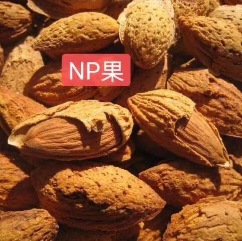 精品薄皮巴旦木NP巴旦木巴旦木精品巴支持一件代发