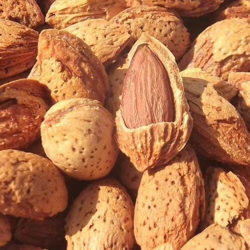 精品薄皮巴旦木NP巴旦木巴旦木精品巴支持一件代发