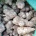 优质白洋姜：鬼子姜，菊芋