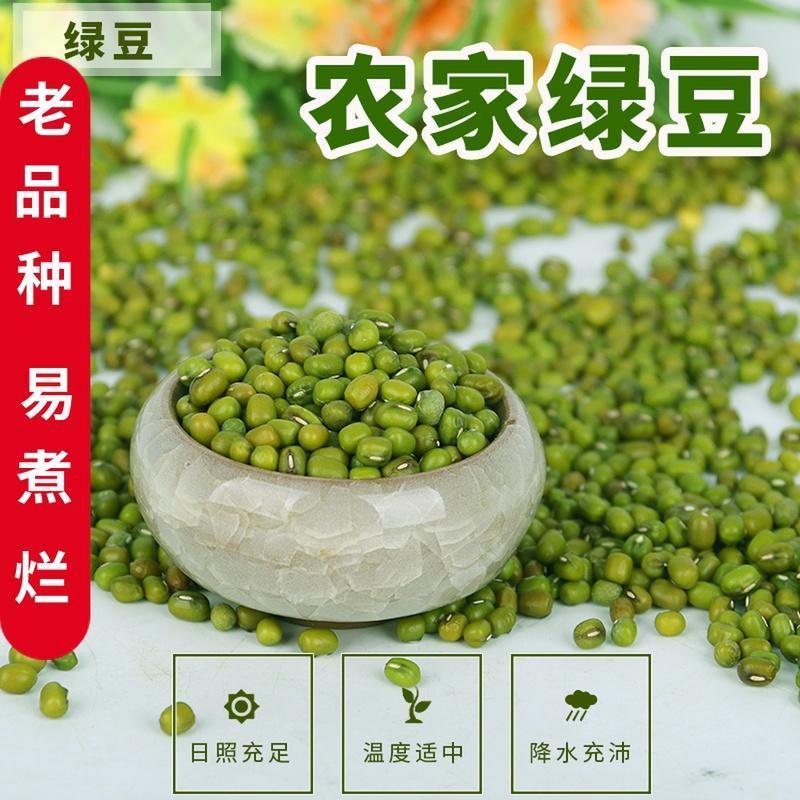 绿豆5斤东北小绿豆新鲜绿豆发豆芽散装绿豆精品绿豆罐装绿