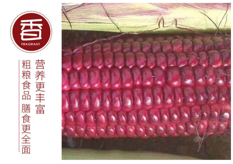 红色水果玉米红宝石水果玉米孩子女士都喜欢