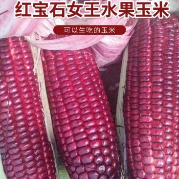红色水果玉米红宝石水果玉米孩子女士都喜欢