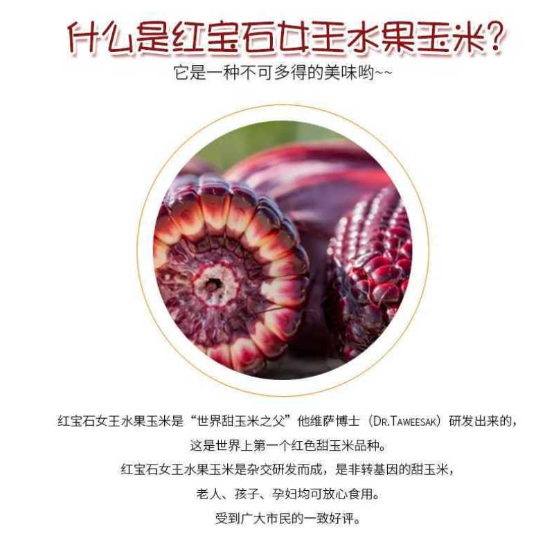 红色水果玉米红宝石水果玉米孩子女士都喜欢
