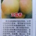 梨树苗批发秋月梨树苗玉露香早酥红翠冠梨树苗等零售