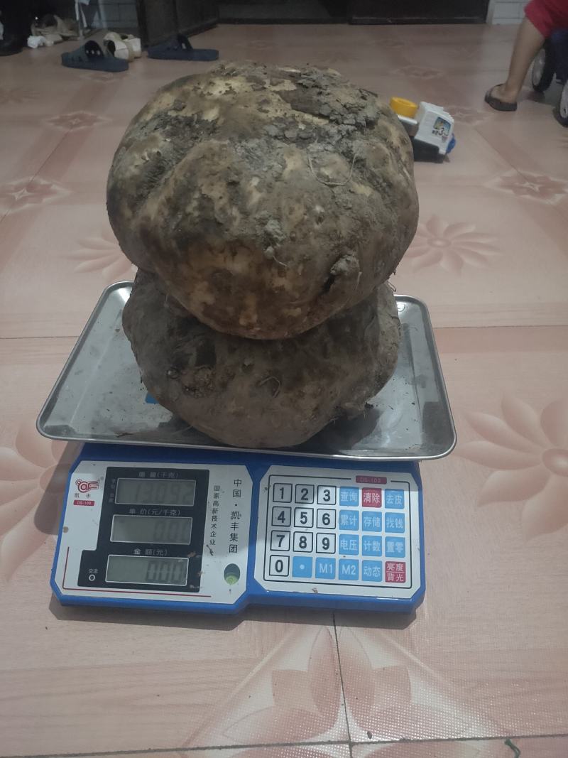 商品魔芋农产品！！！