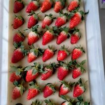 为各地客商提供优质草莓代办服务！