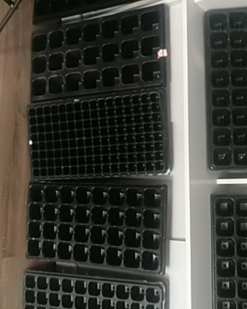 精品穴盘各种型号一手货源