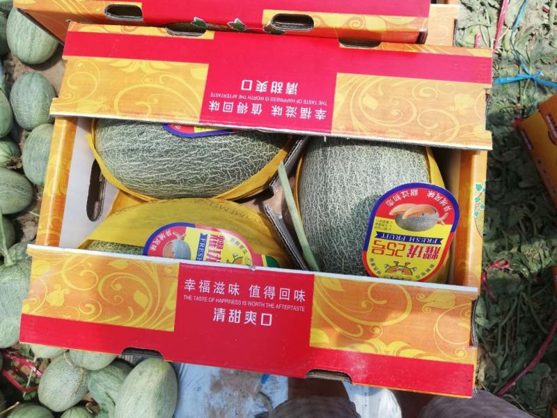水果直销，价格美丽！