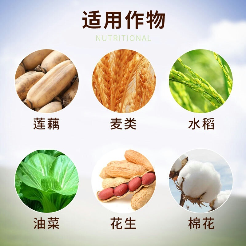 国光多菌灵药剂杀菌剂矮壮素植物病害果蔬作物树木花卉蔬菜杀