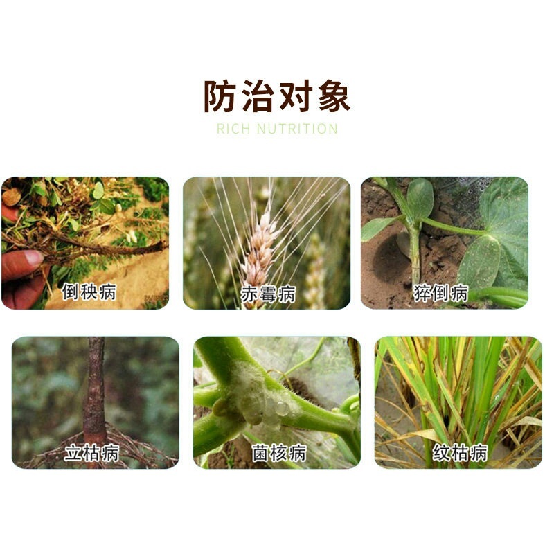 国光多菌灵药剂杀菌剂矮壮素植物病害果蔬作物树木花卉蔬菜杀