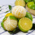 广西皇帝柑，清甜爆汁，产地货源直供，一件代发，对接电商