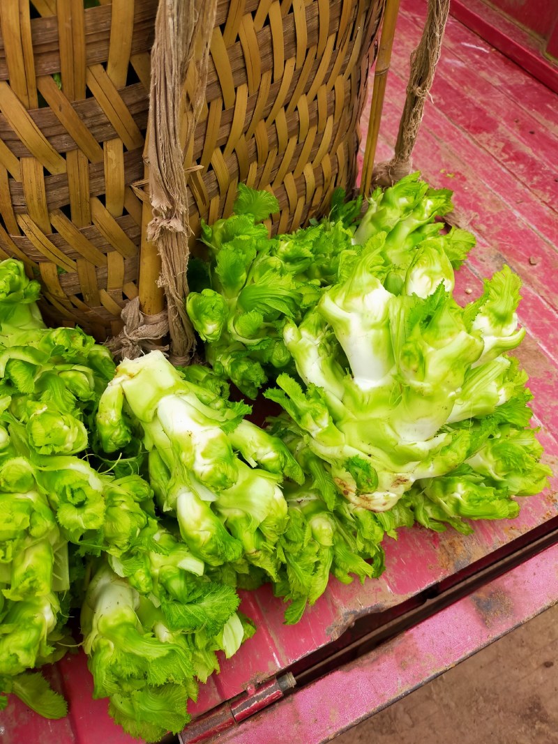 棒棒菜，青菜，儿菜，榨菜，南瓜上市了！！