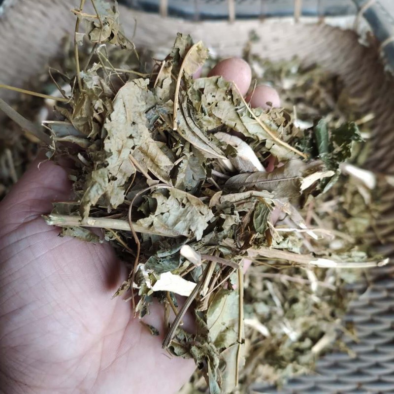 路边青产地直供支持线上交易可搭配多品种采购大货联系