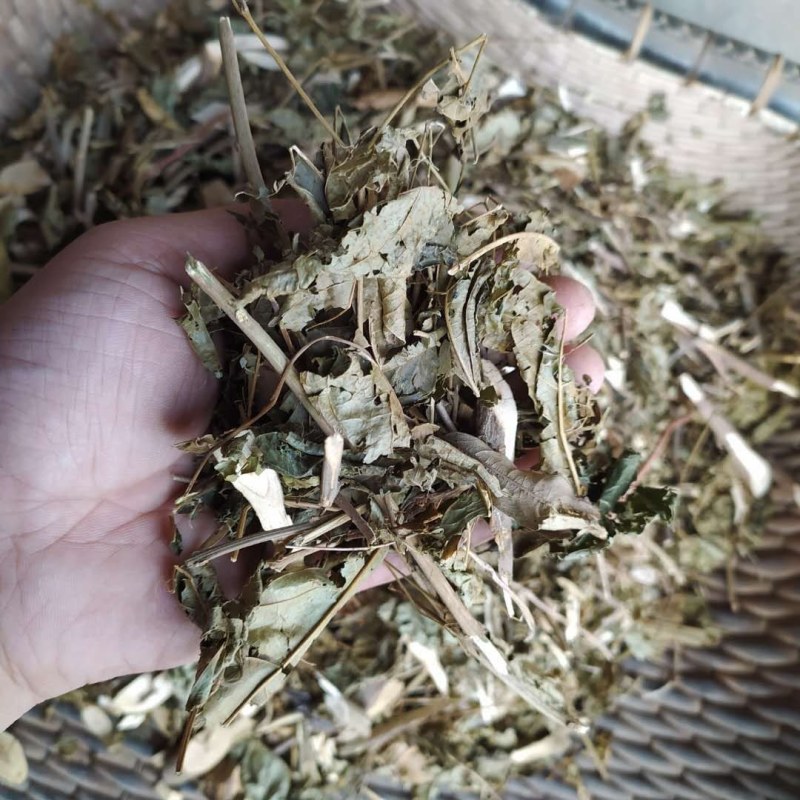 路边青产地直供支持线上交易可搭配多品种采购大货联系