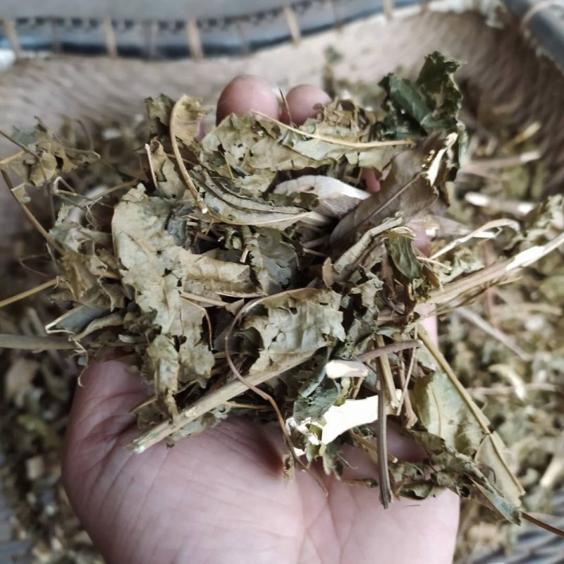 路边青产地直供支持线上交易可搭配多品种采购大货联系