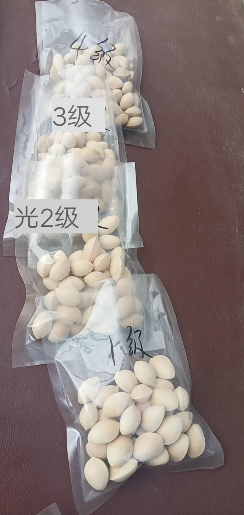 白果全部都是今年新鲜白果