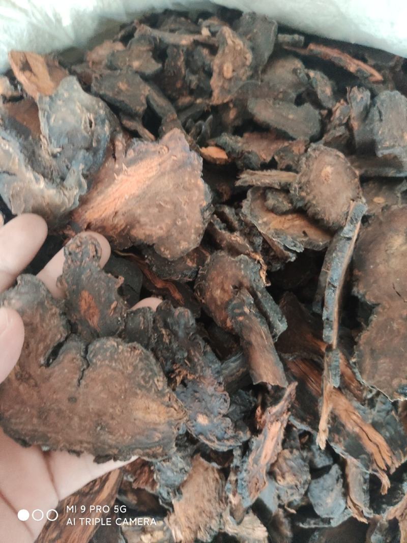 野生何首乌，量大优惠，欢迎新老客户前来合作，可以视频看