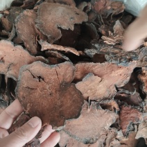 野生何首乌，量大优惠，欢迎新老客户前来合作，可以视频看