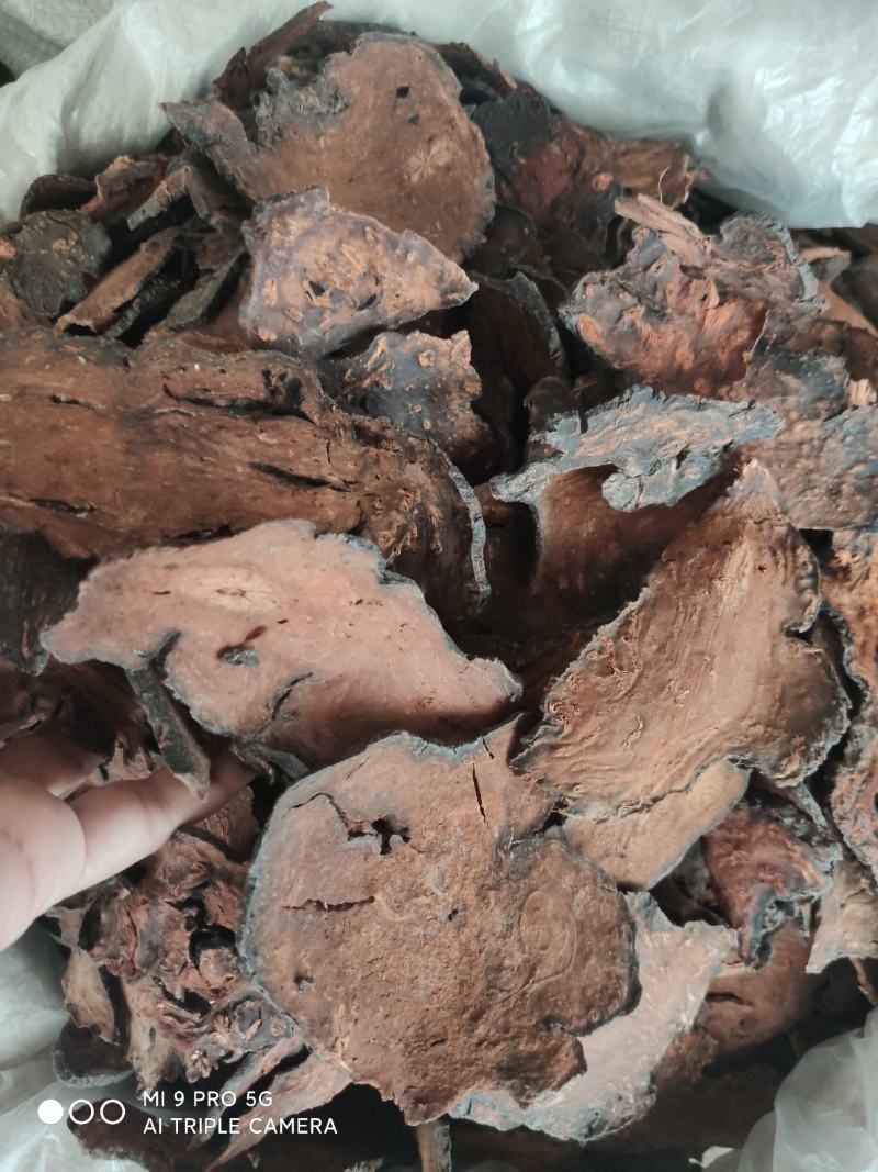 野生何首乌，量大优惠，欢迎新老客户前来合作，可以视频看