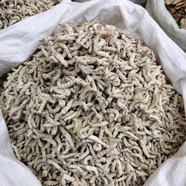 【僵蚕】僵虫，纯净正品净货，足干，品质保证！量大从优！