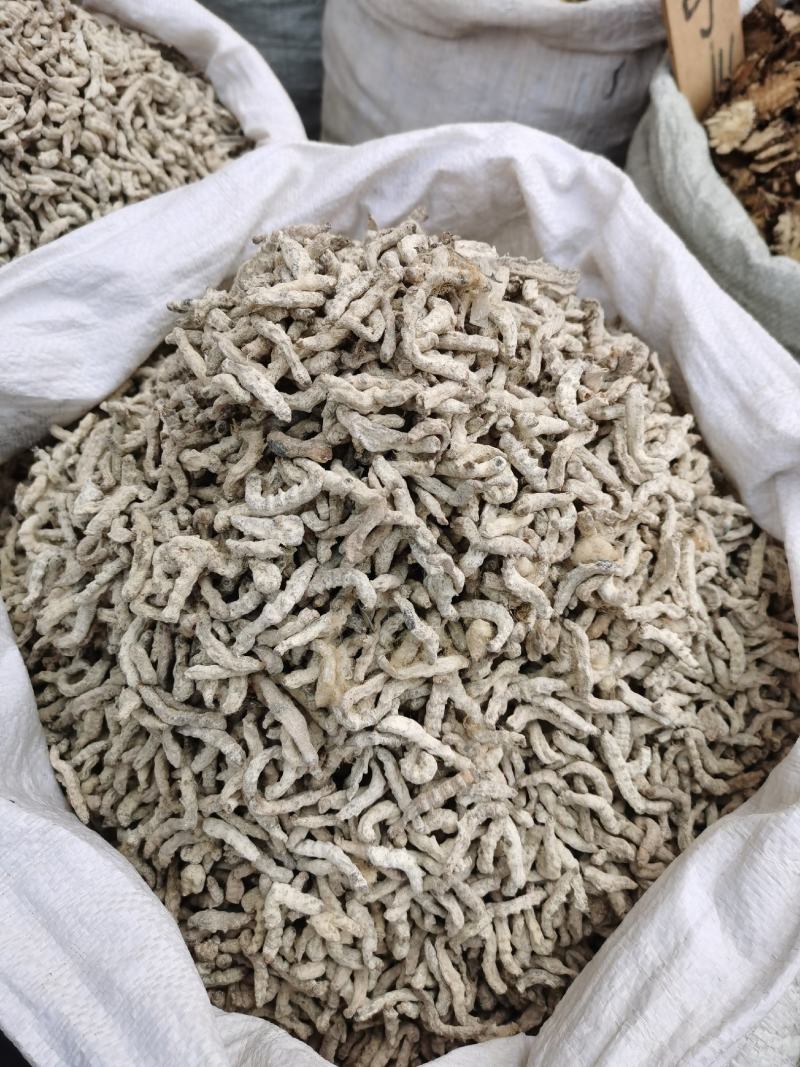 【僵蚕】僵虫，纯净正品净货，足干，品质保证！量大从优！