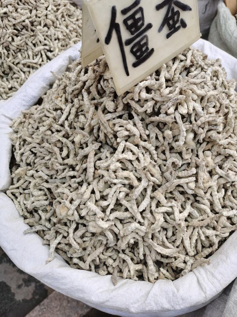 【僵蚕】僵虫，纯净正品净货，足干，品质保证！量大从优！