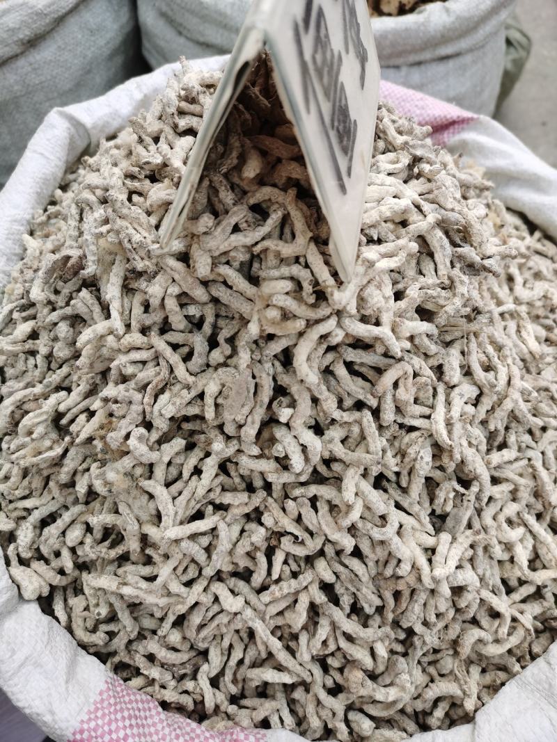 【僵蚕】僵虫，纯净正品净货，足干，品质保证！量大从优！