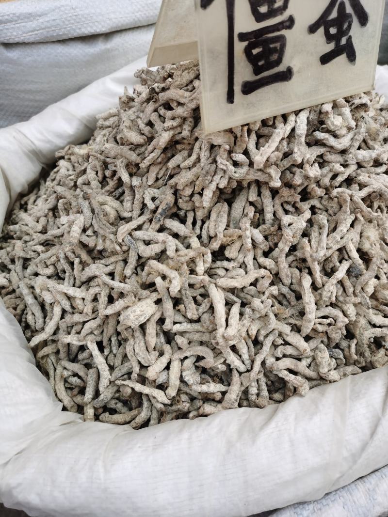 【僵蚕】僵虫，纯净正品净货，足干，品质保证！量大从优！