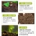 阿逸多矿源黄腐酸钾水溶肥料农用果树花生抗重茬促花果冲施肥