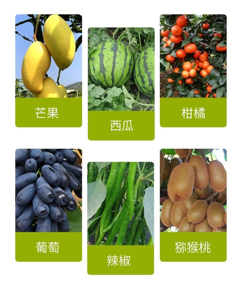 阿逸多矿源黄腐酸钾水溶肥料农用果树花生抗重茬促花果冲施肥