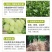 阿逸多矿源黄腐酸钾水溶肥料农用果树花生抗重茬促花果冲施肥