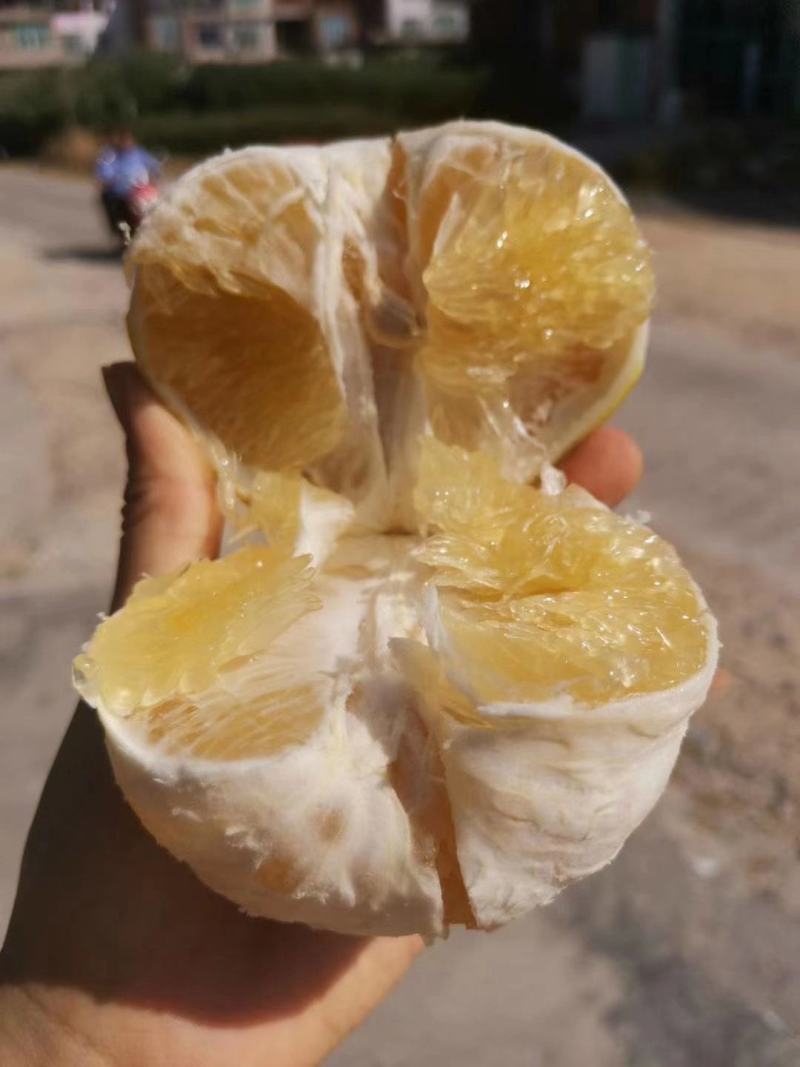 葡萄柚皮薄肉厚(一件包邮到家)供电商平台一个也引流