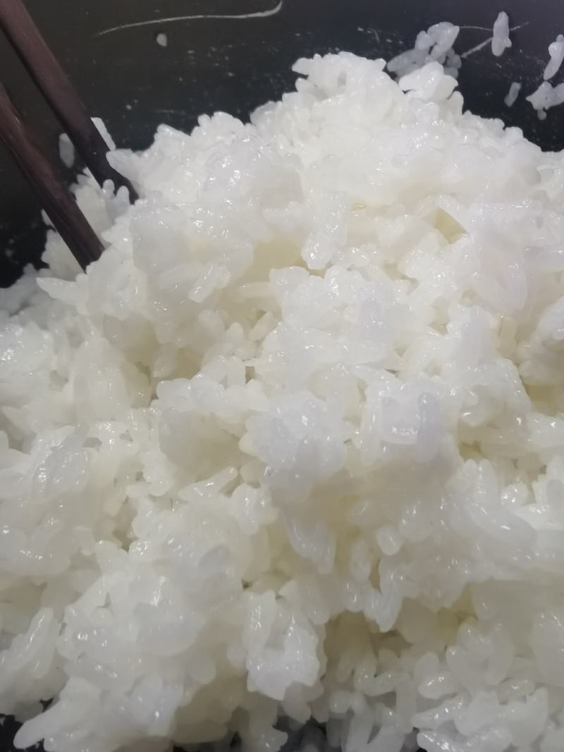 东北原生态小町粒香梗米大米