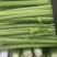 精品西芹，产地直发，全国发货，量大从优，品质保证